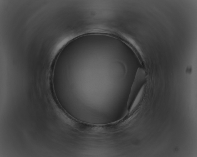 X0000091541463200708311321