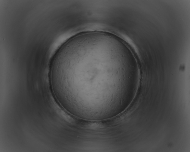 X0000091541464200708311321