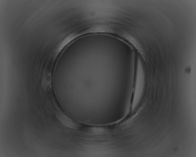 X0000091541465200708311321