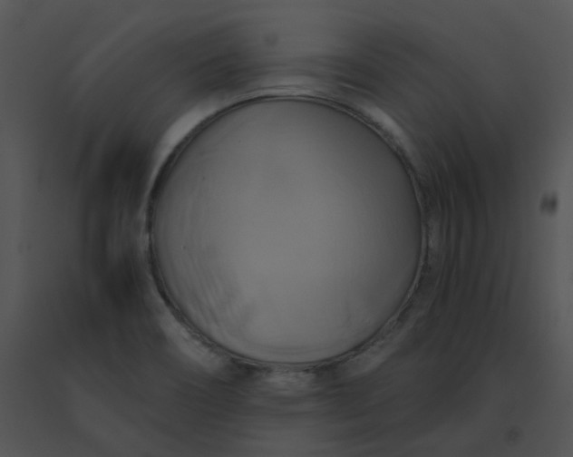 X0000091541466200708311321