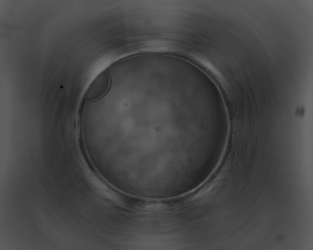 X0000091541467200708311321