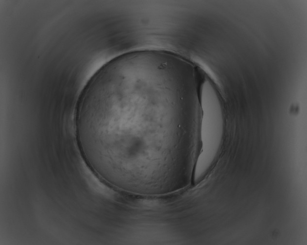 X0000091541468200708311321