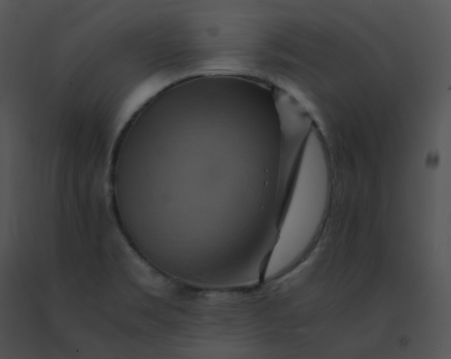 X0000091541469200708311321