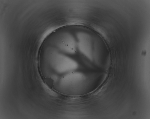 X0000091541471200708311321