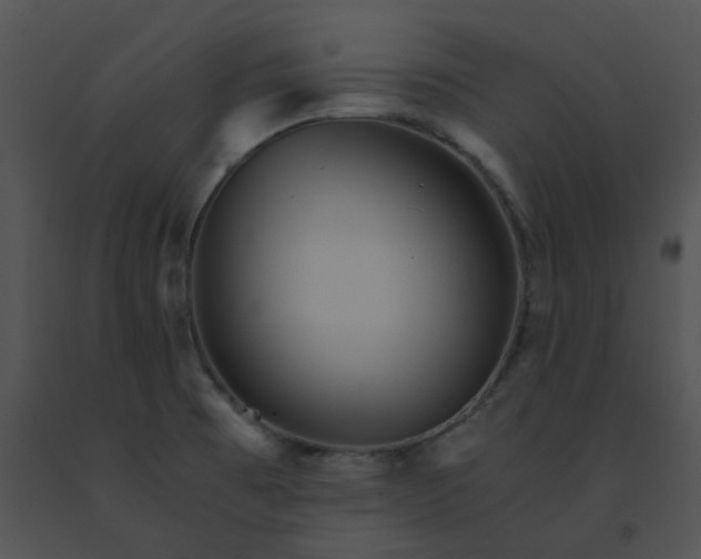 X0000091541473200708311321