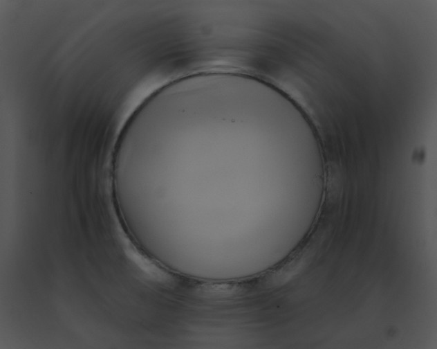 X0000091541474200708311321
