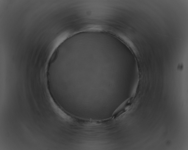 X0000091541475200708311321