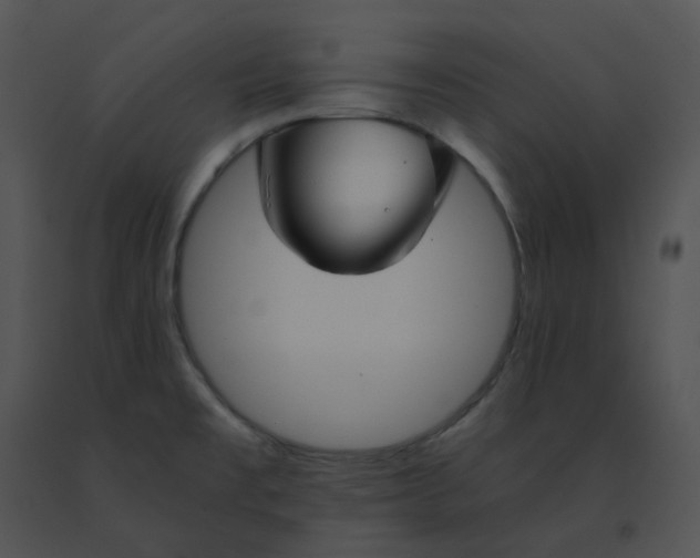 X0000091541477200708311321