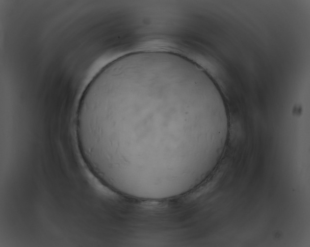 X0000091541478200708311321