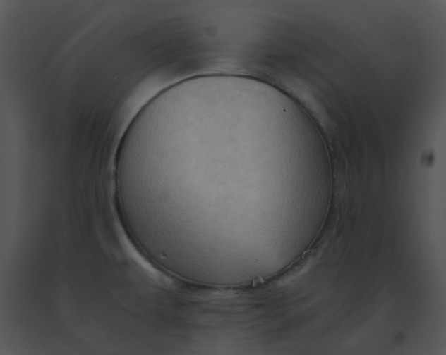 X0000091541479200708311321
