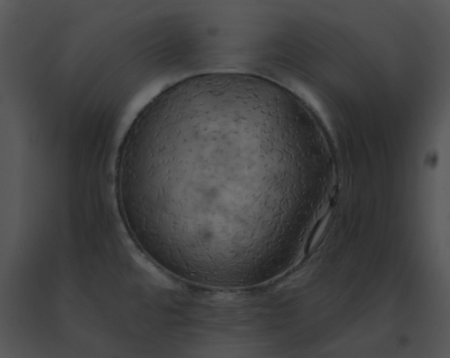 X0000091541480200708311321