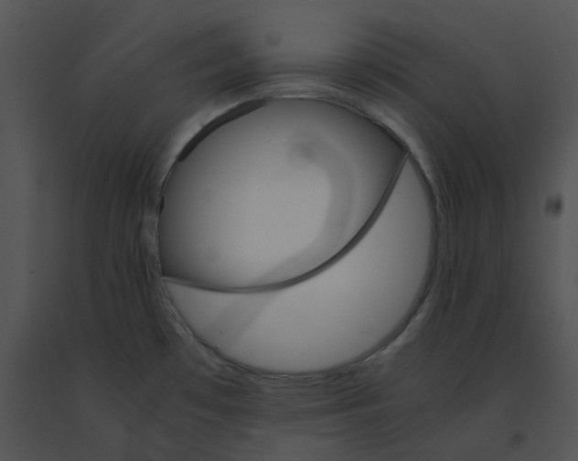X0000091541481200708311321