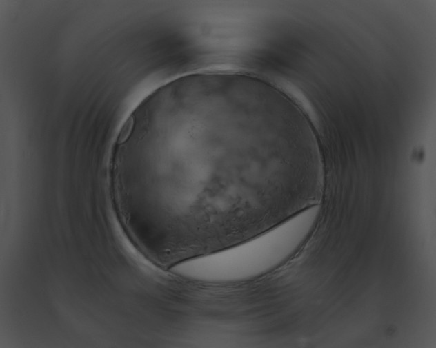 X0000091541483200708311321