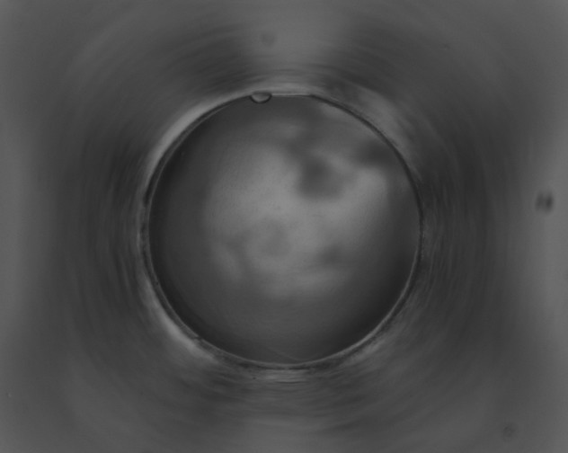 X0000091541484200708311321