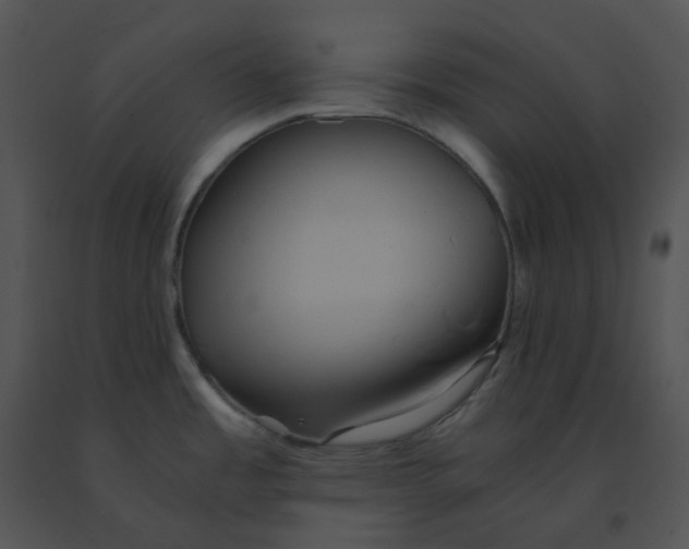 X0000091541485200708311321