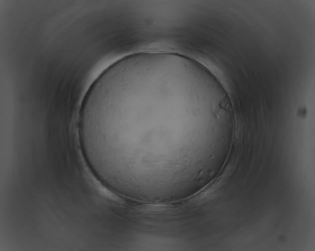 X0000091541486200708311321