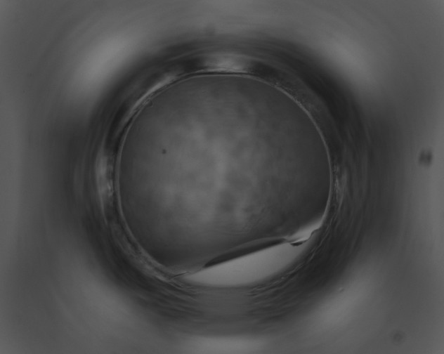 X0000091541487200708311321