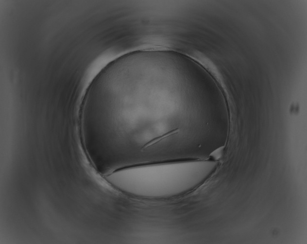 X0000091541488200708311321