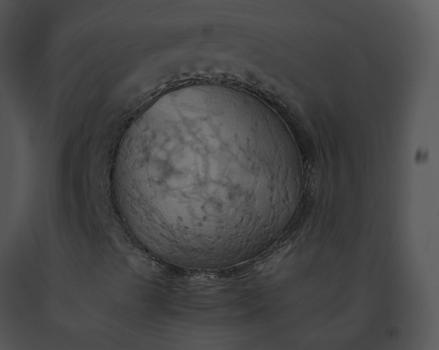 X0000091541489200708311320