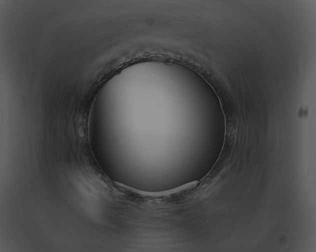 X0000091541490200708311320