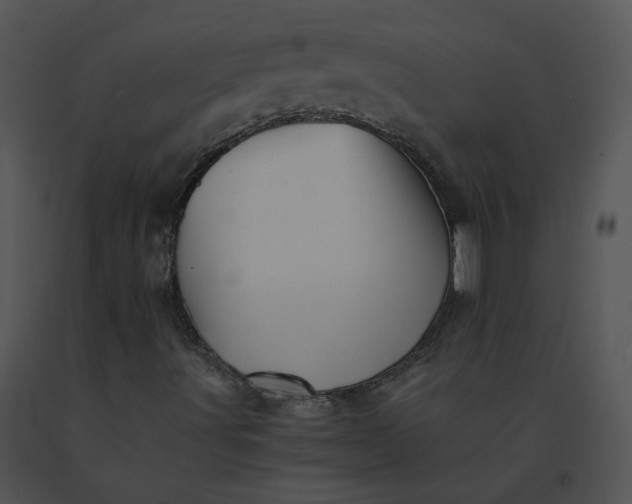 X0000091541491200708311320