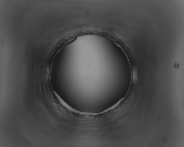 X0000091541492200708311320