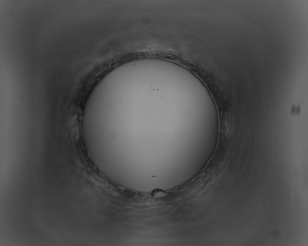 X0000091541493200708311320