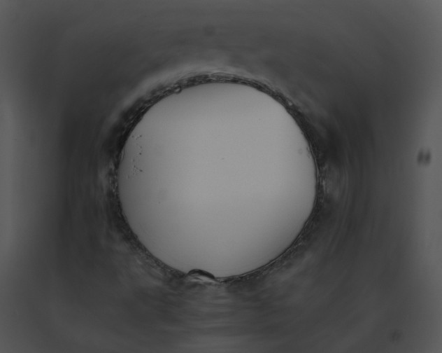 X0000091541495200708311321