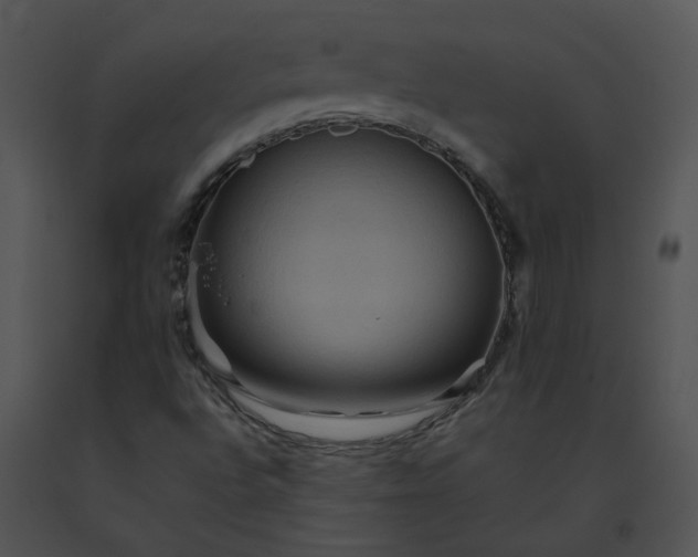 X0000091541496200708311321