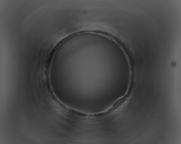 X0000091541497200708311321