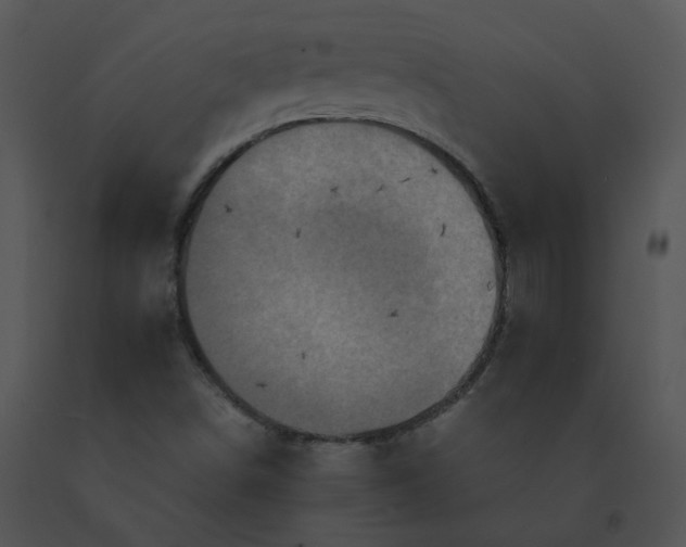 X0000091541498200708311321