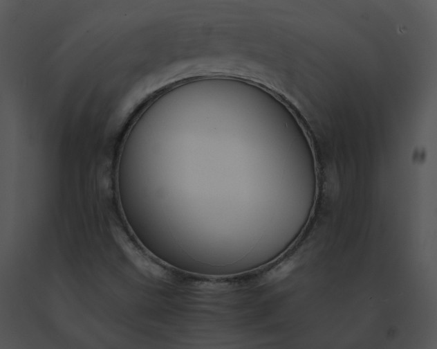 X0000091541499200708311321
