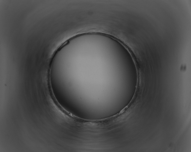 X0000091541500200708311321
