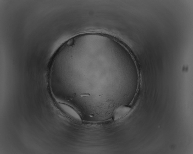 X0000091541501200708311321