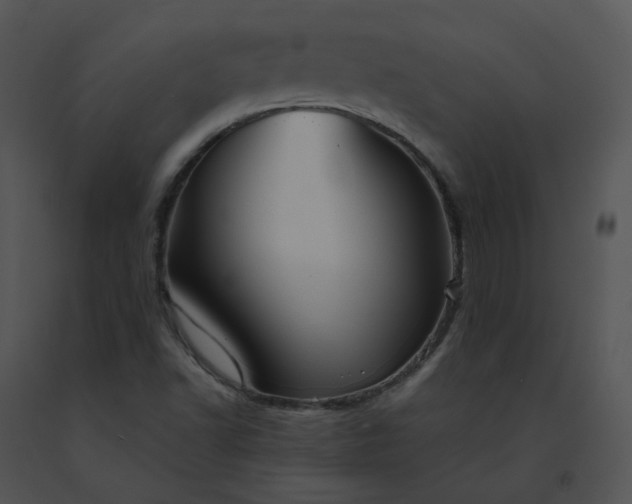 X0000091541502200708311321