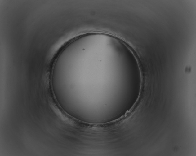 X0000091541503200708311321