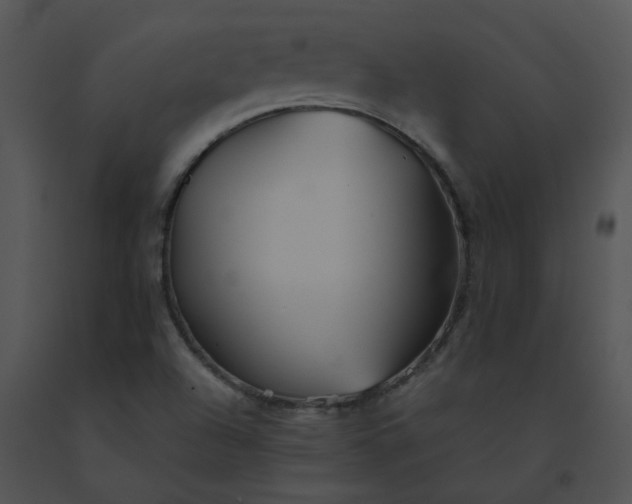X0000091541504200708311321