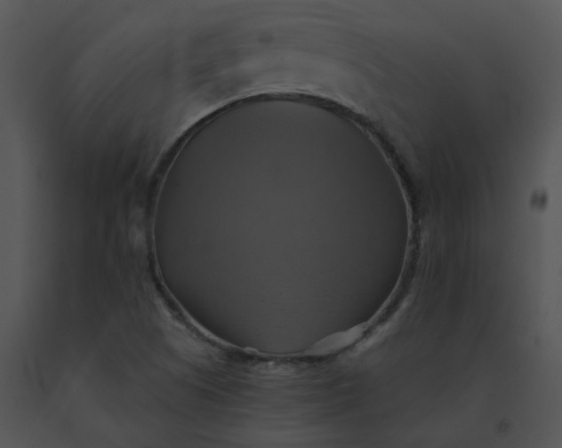 X0000091541505200708311321