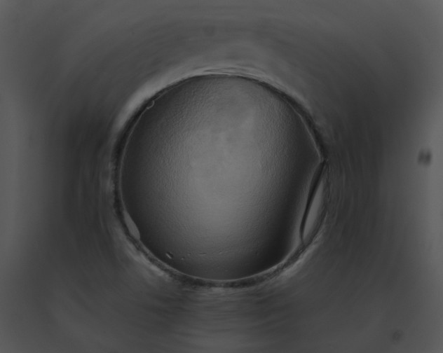X0000091541506200708311321