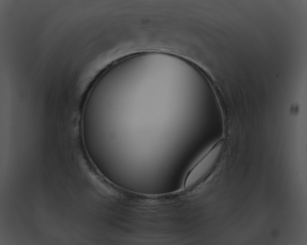 X0000091541507200708311321