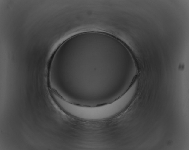 X0000091541508200708311321