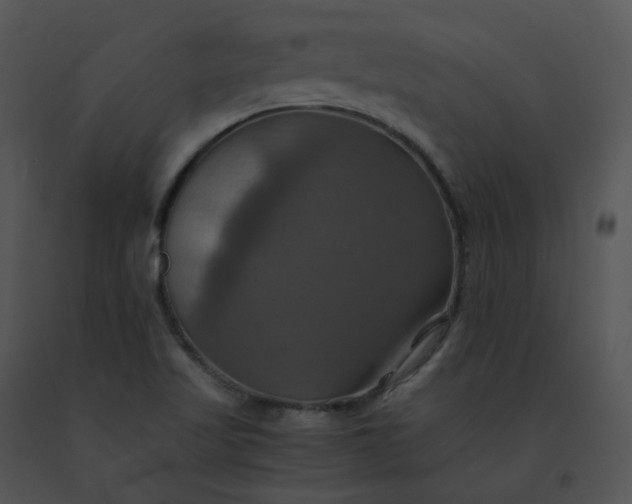 X0000091541509200708311321