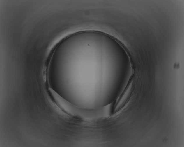 X0000091541510200708311321