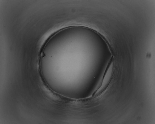 X0000091541511200708311321