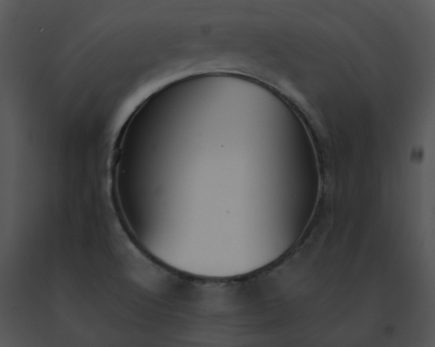 X0000091541512200708311321