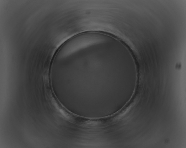 X0000091541513200708311321
