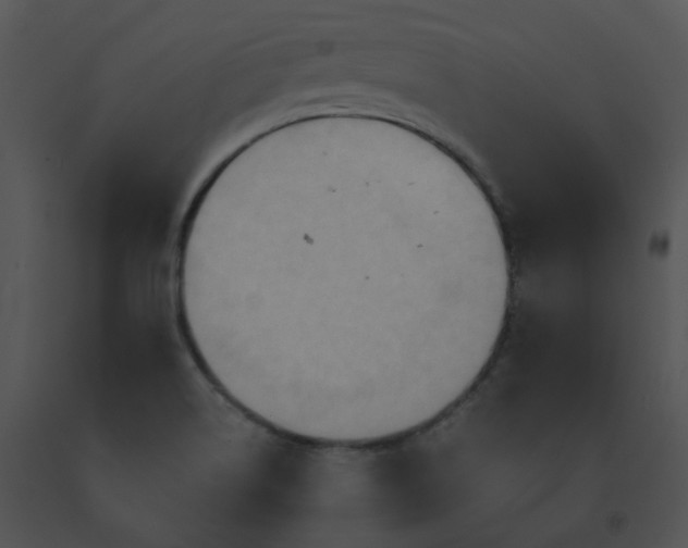X0000091541514200708311321