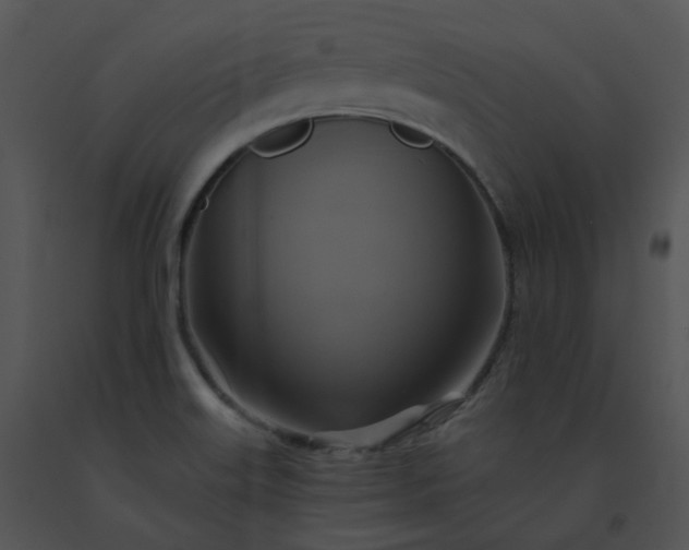 X0000091541515200708311321