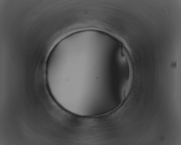 X0000091541516200708311321