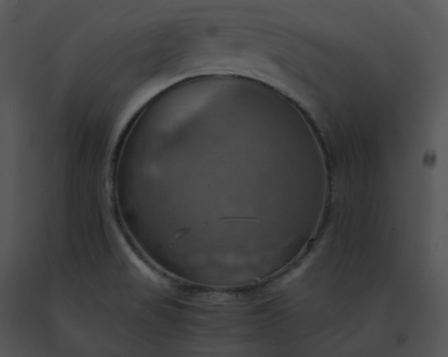 X0000091541517200708311321